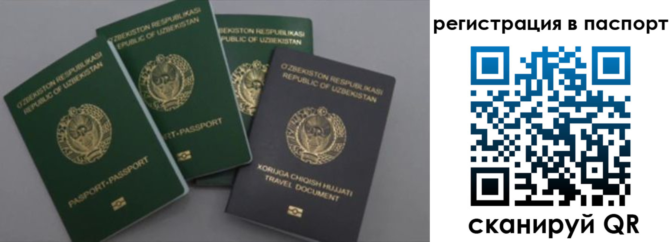 прописка от собственника в Судогде